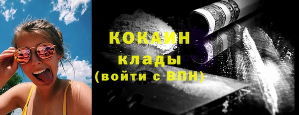 ПСИЛОЦИБИНОВЫЕ ГРИБЫ Ельня