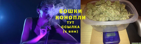 ПСИЛОЦИБИНОВЫЕ ГРИБЫ Ельня