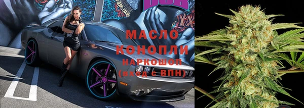 ПСИЛОЦИБИНОВЫЕ ГРИБЫ Ельня