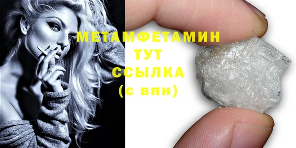 ПСИЛОЦИБИНОВЫЕ ГРИБЫ Ельня