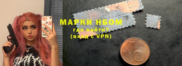 ПСИЛОЦИБИНОВЫЕ ГРИБЫ Ельня