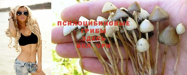 mdma Елабуга
